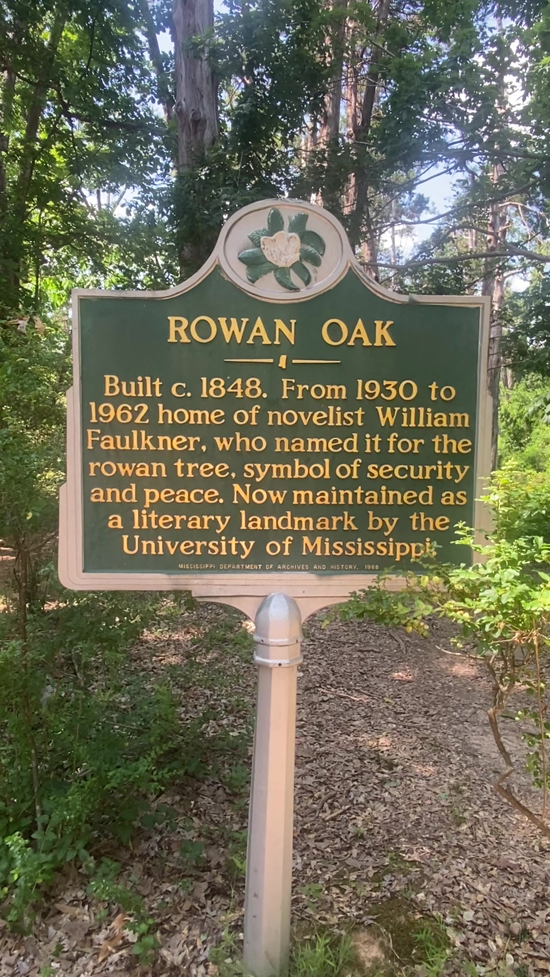 Rowan Oak