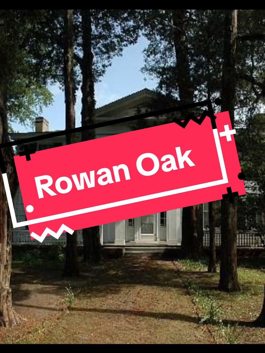 Rowan Oak