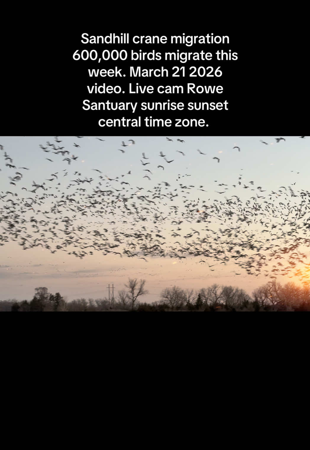 Rowe Sanctuary