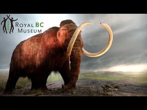 Royal BC Museum