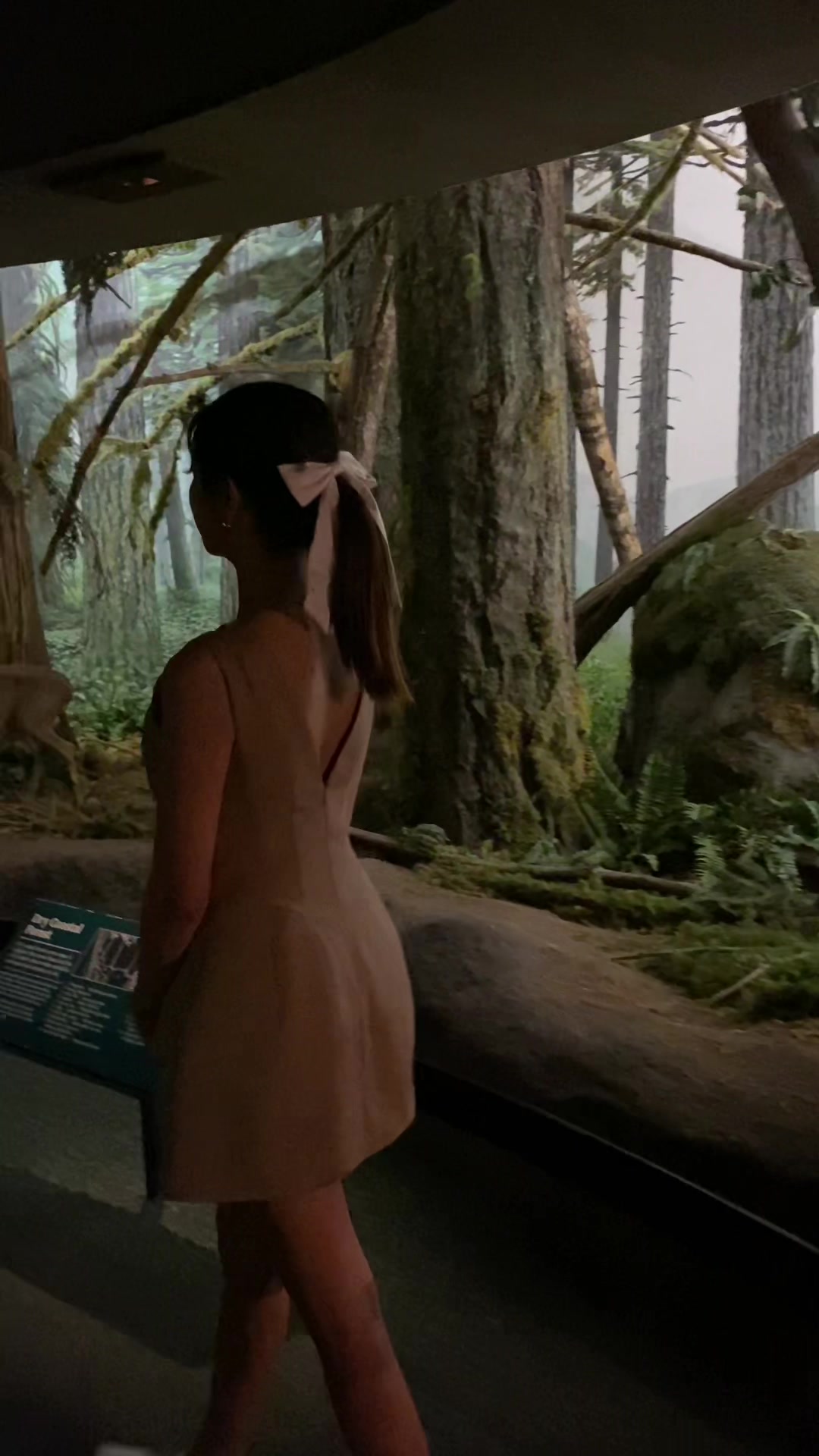 Royal BC Museum