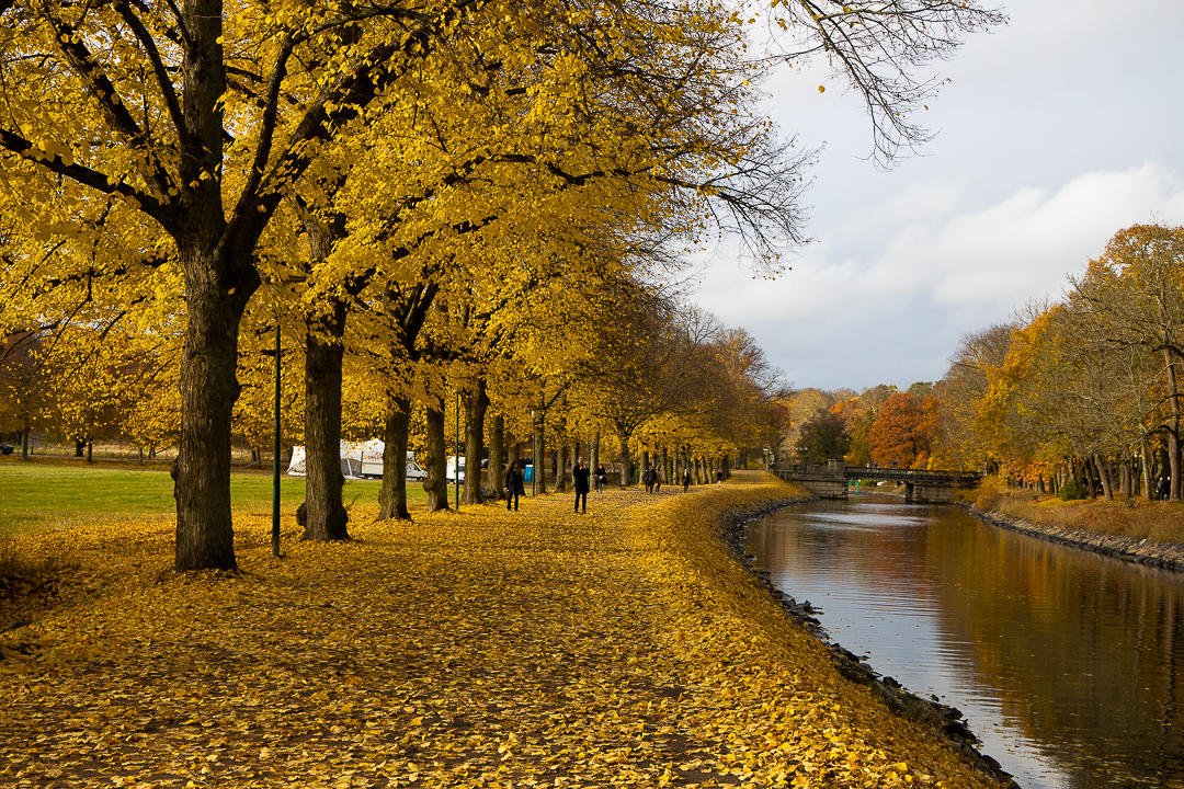 Королевский национальный городской парк — Djurgården (прогулки и парки)
