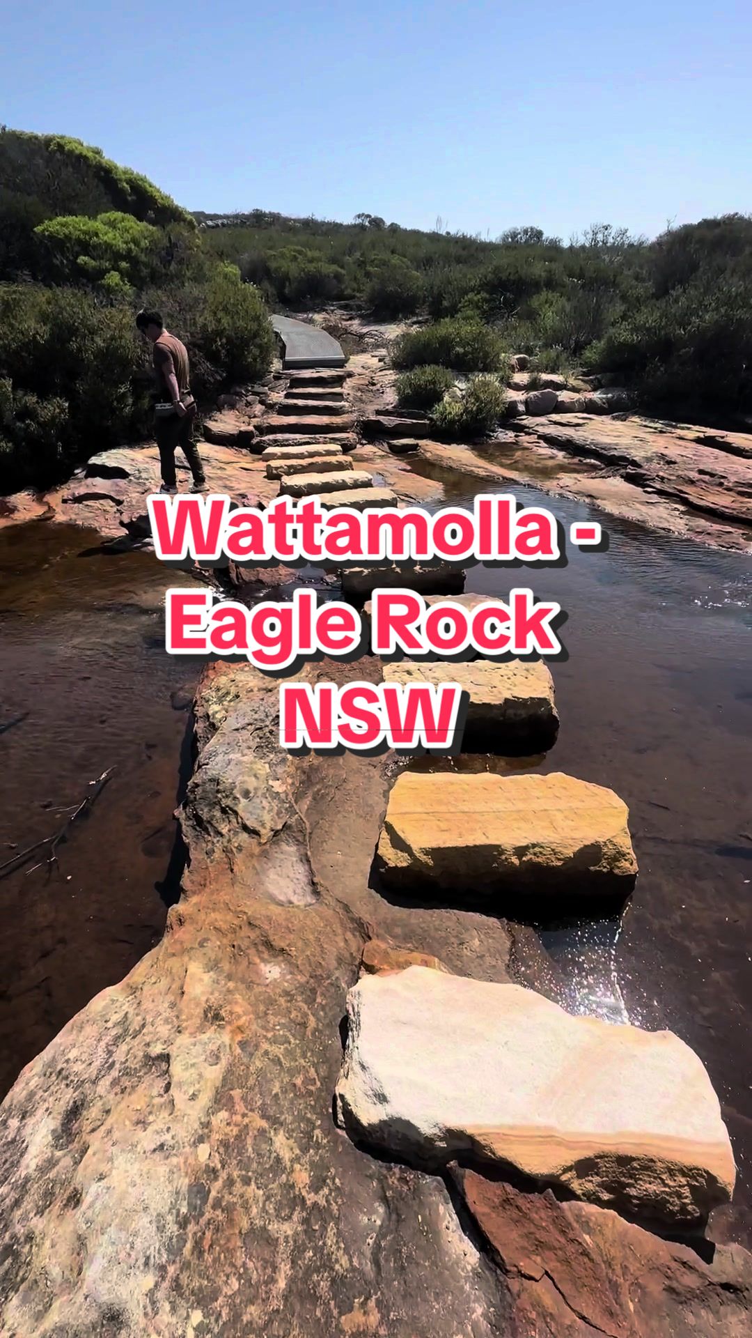 Royal National Park
