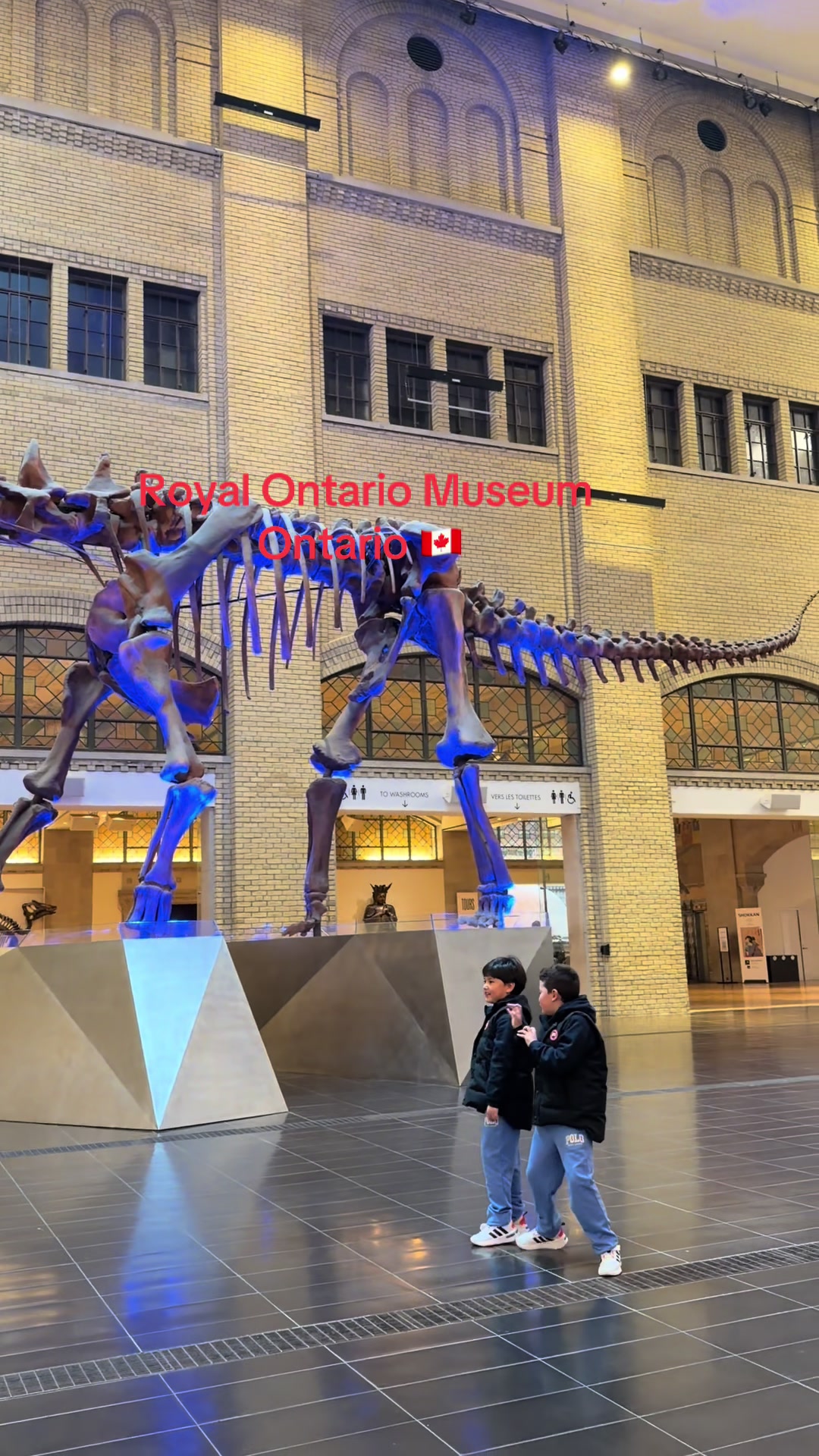 Royal Ontario Museum