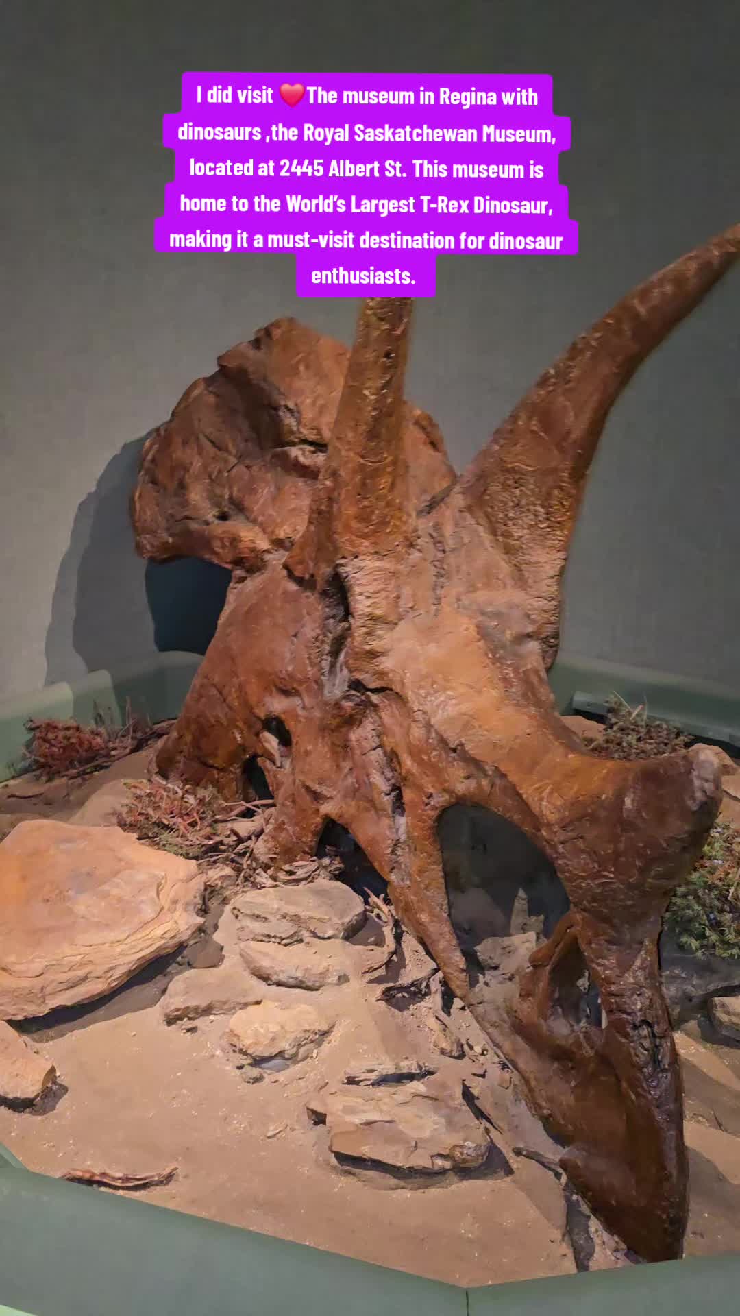 Royal Saskatchewan Museum (Regina)