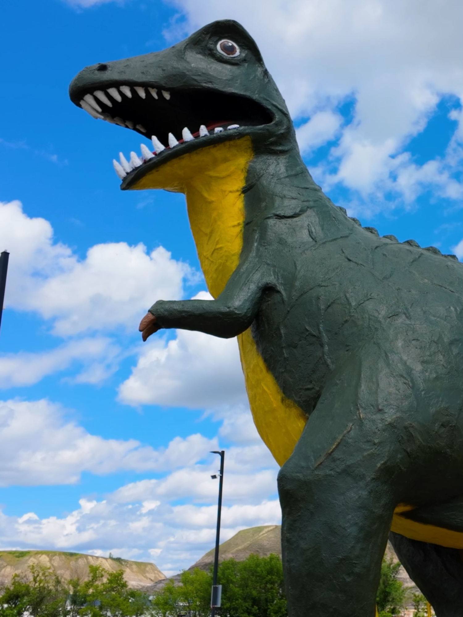 Royal Tyrrell Museum (Drumheller)