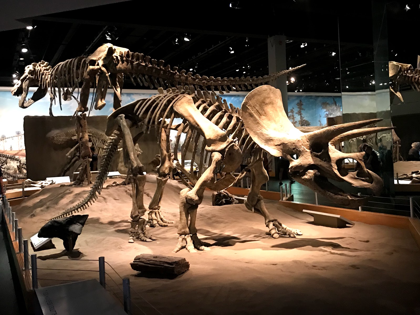 Drumheller - Hoodoos and Royal Tyrrell Museum (outdoor landmarks)