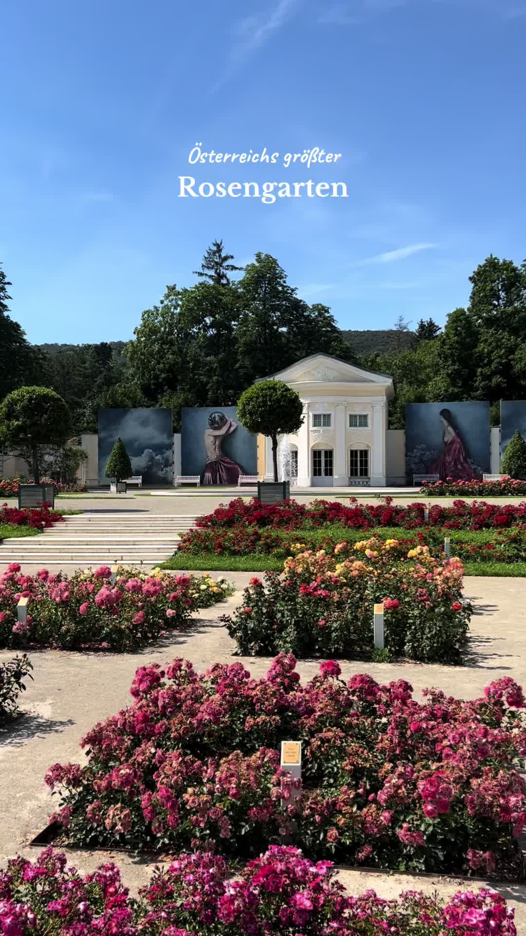 Розарий (Rosengarten)