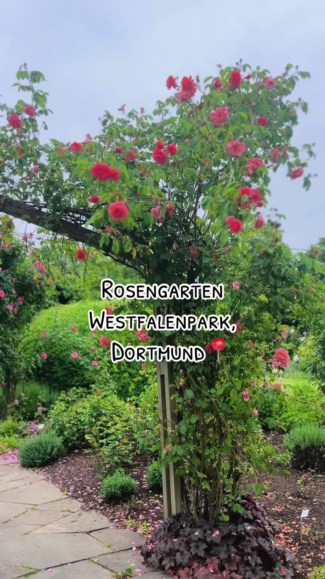 Розарий (Rosengarten)