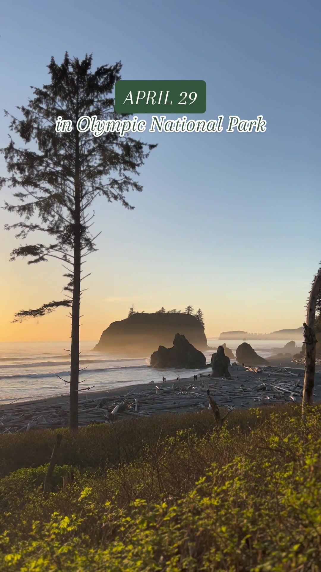 Ruby Beach