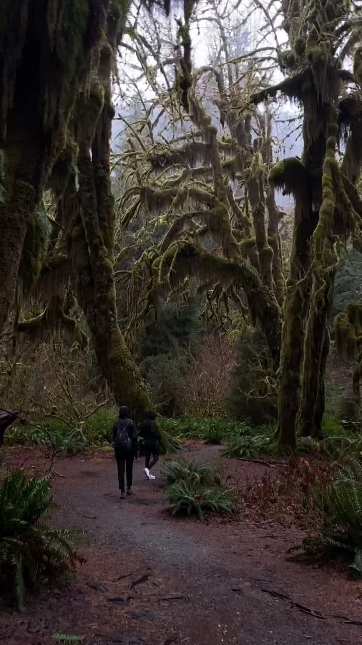 Ruby Beach