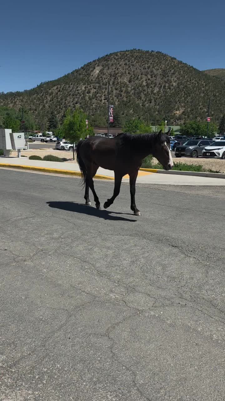 Ruidoso, New Mexico
