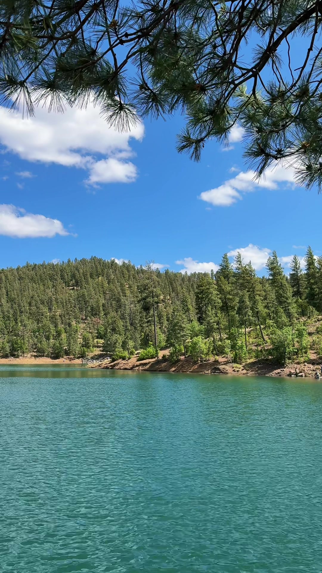 Ruidoso