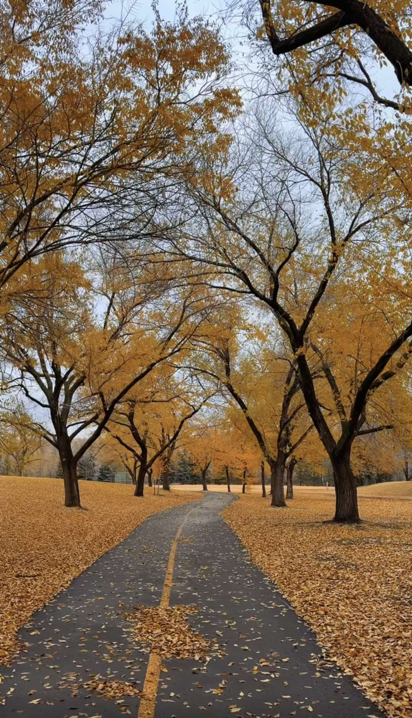 Rundle Park