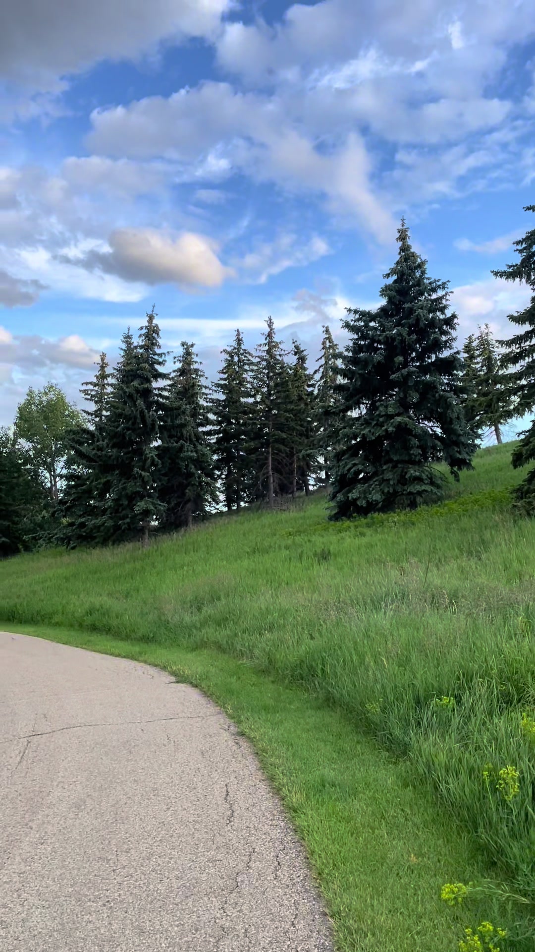 Rundle Park