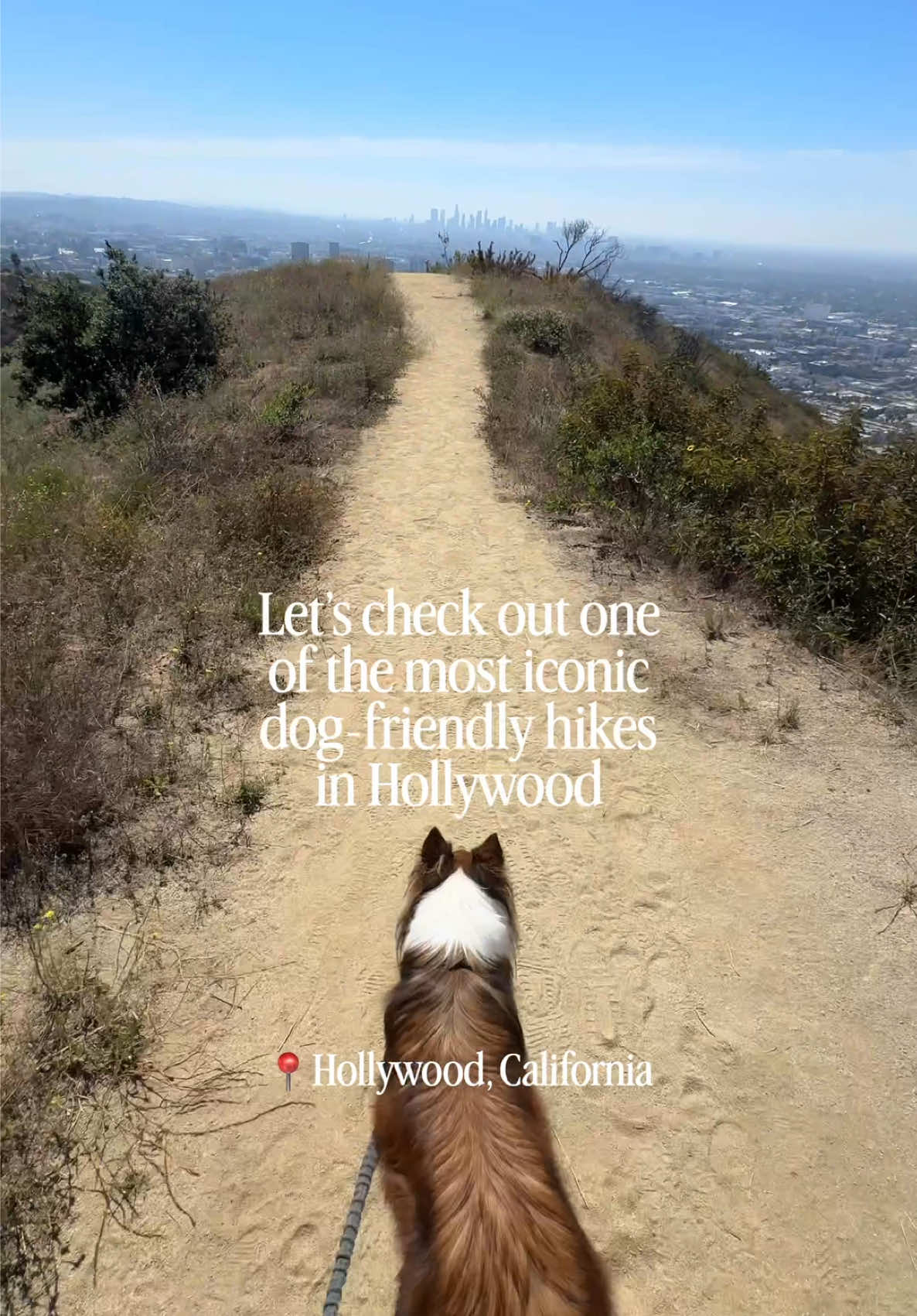 Runyon Canyon Park