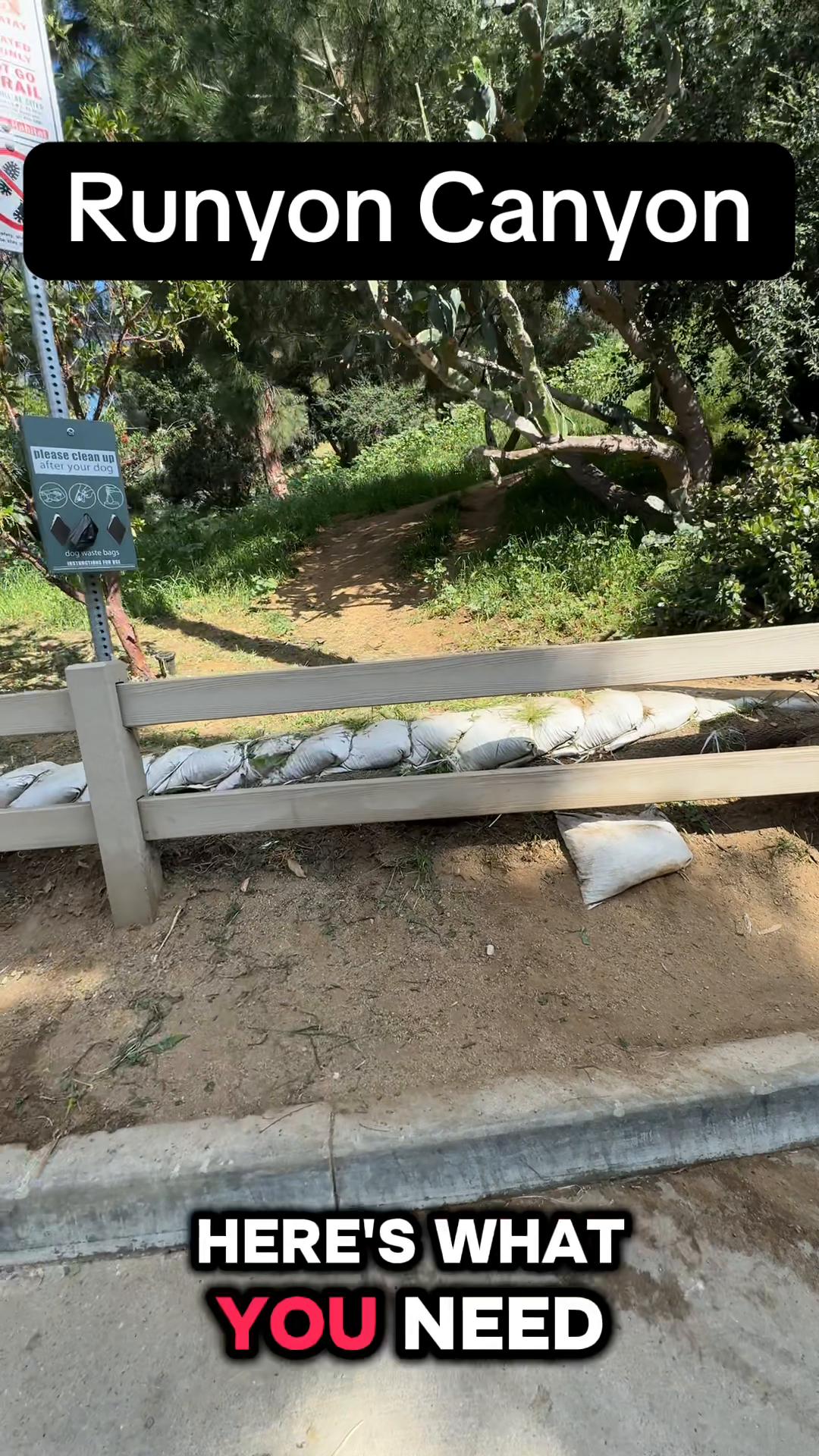 Runyon Canyon Park
