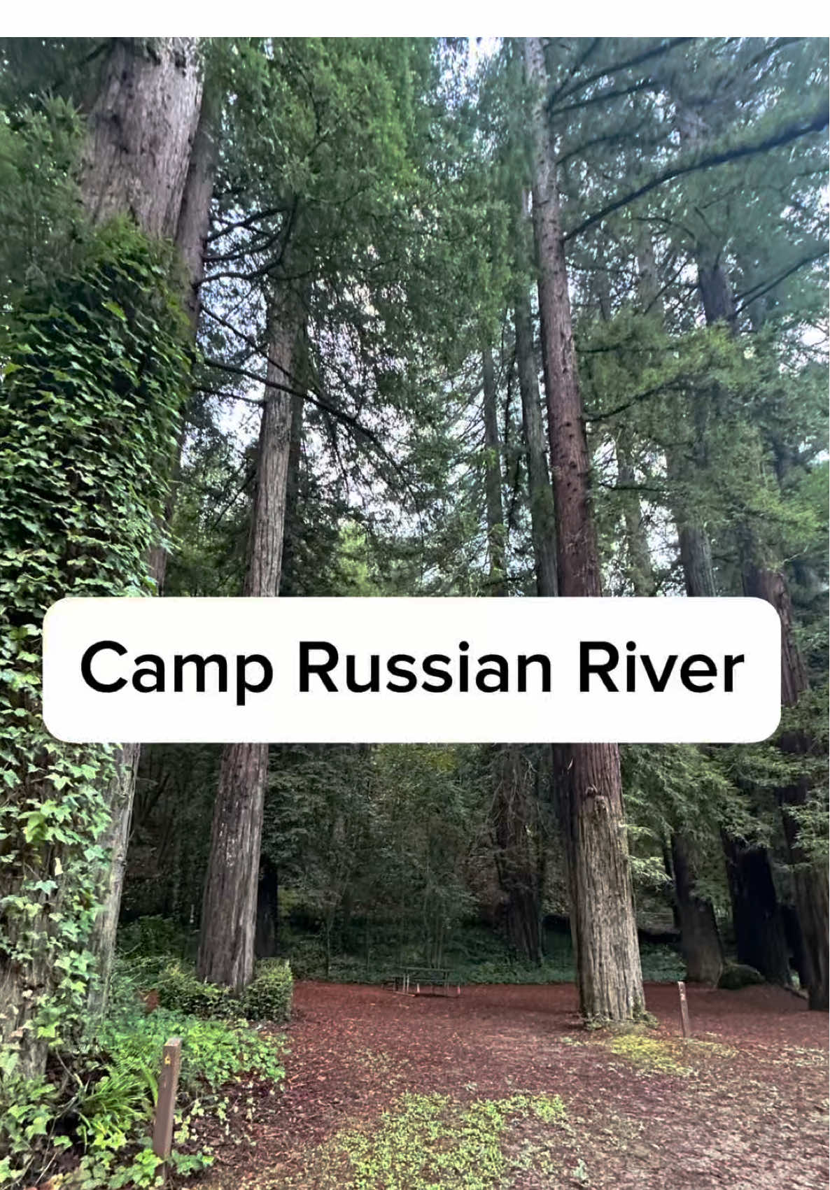 Russian River Campground