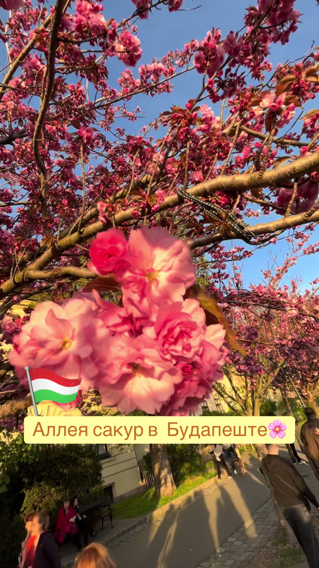 Рыбацкий бастион