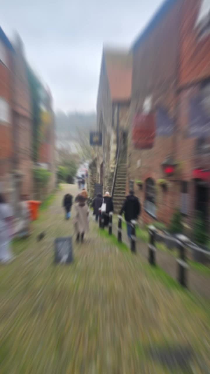 Rye