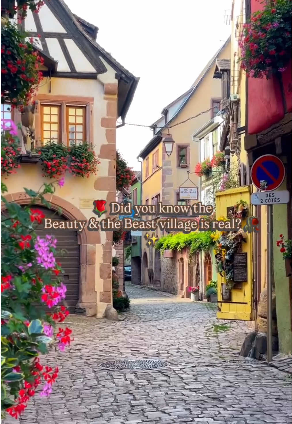 ריקוויר (Riquewihr)