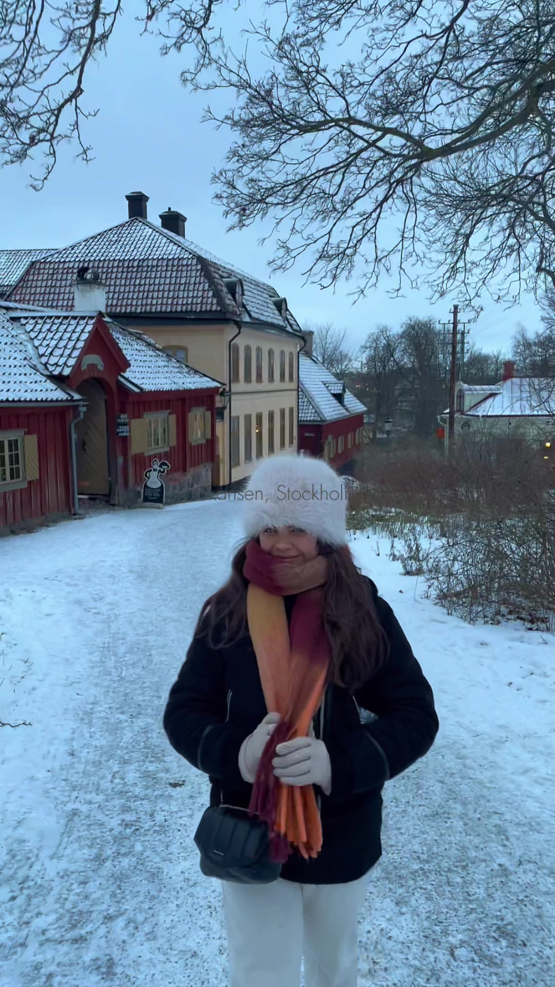 Рыцарский остров — Скансен (Skansen)