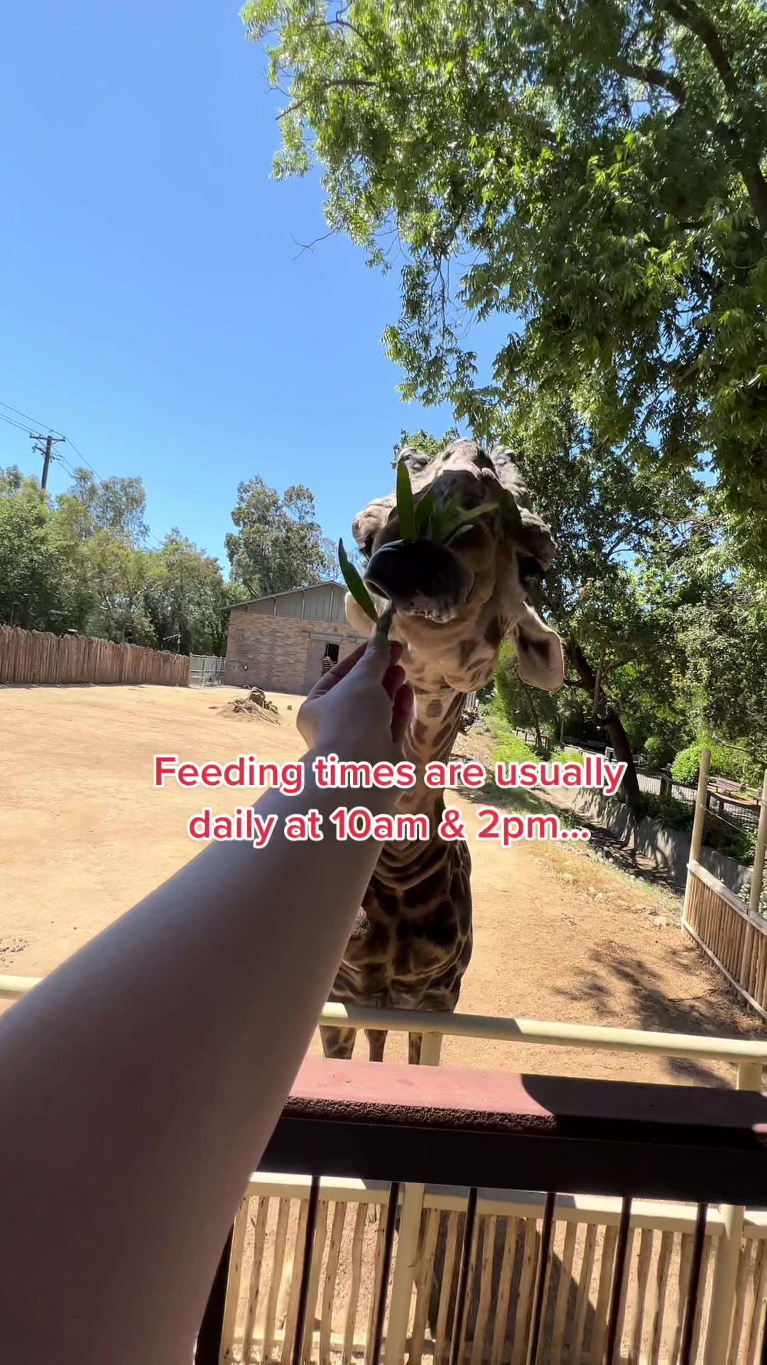 Sacramento Zoo