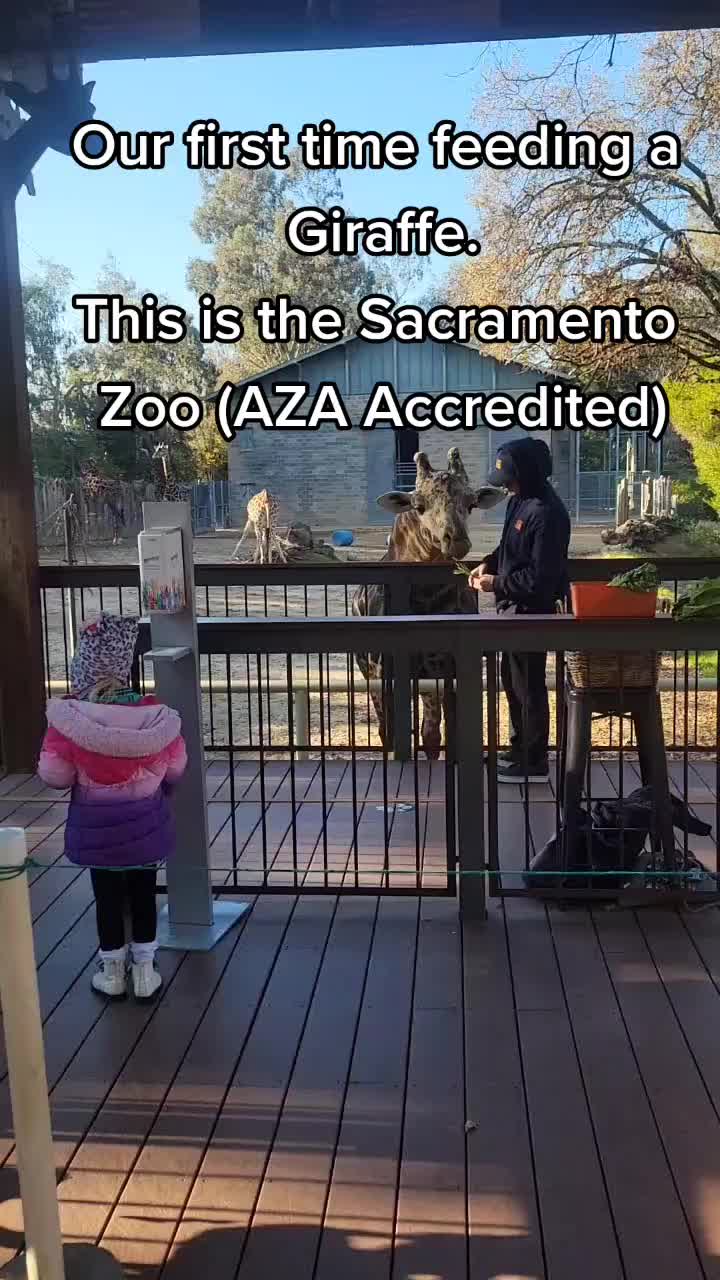 Sacramento Zoo