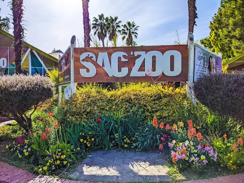 Sacramento Zoo