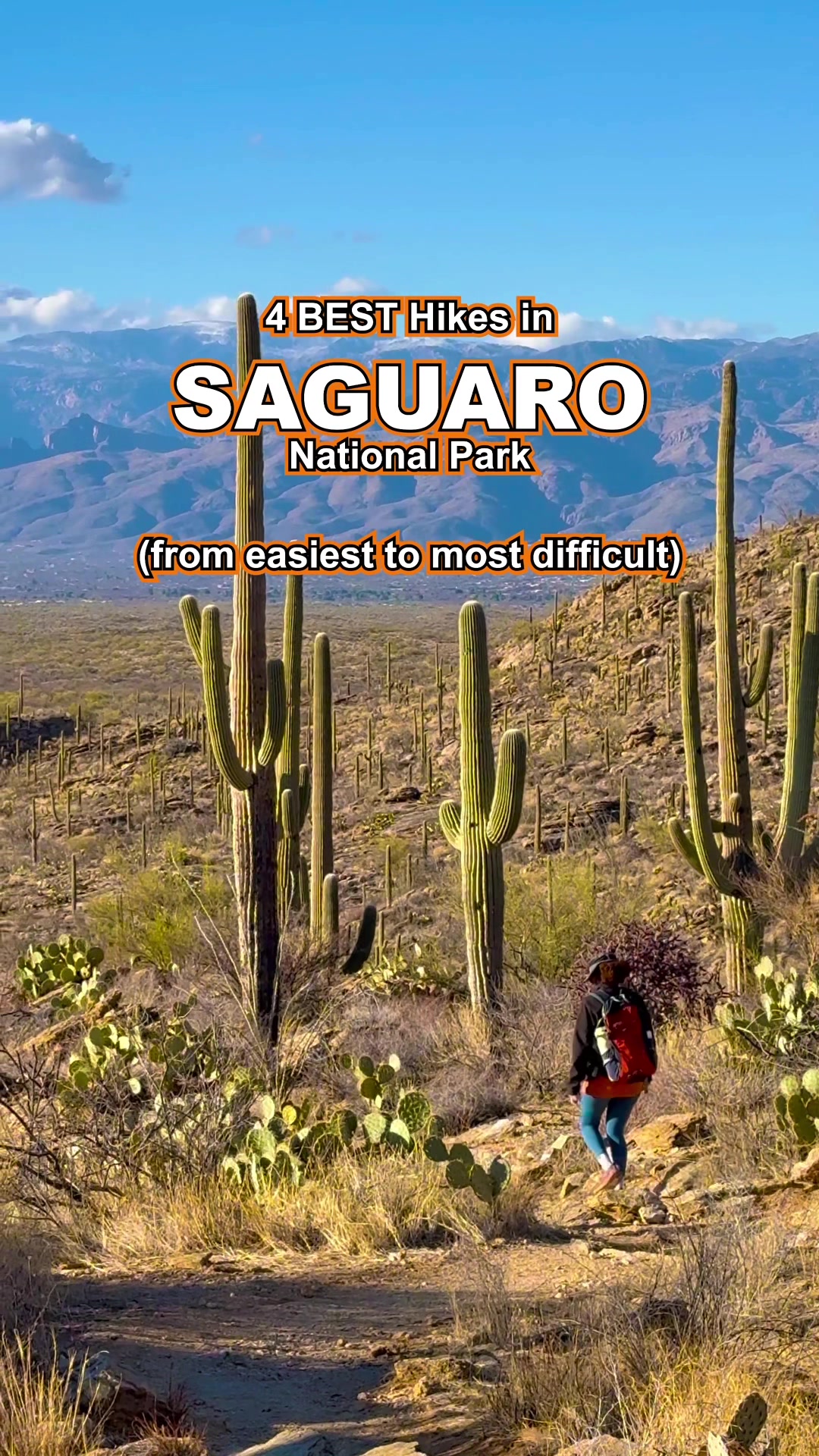 Saguaro National Park