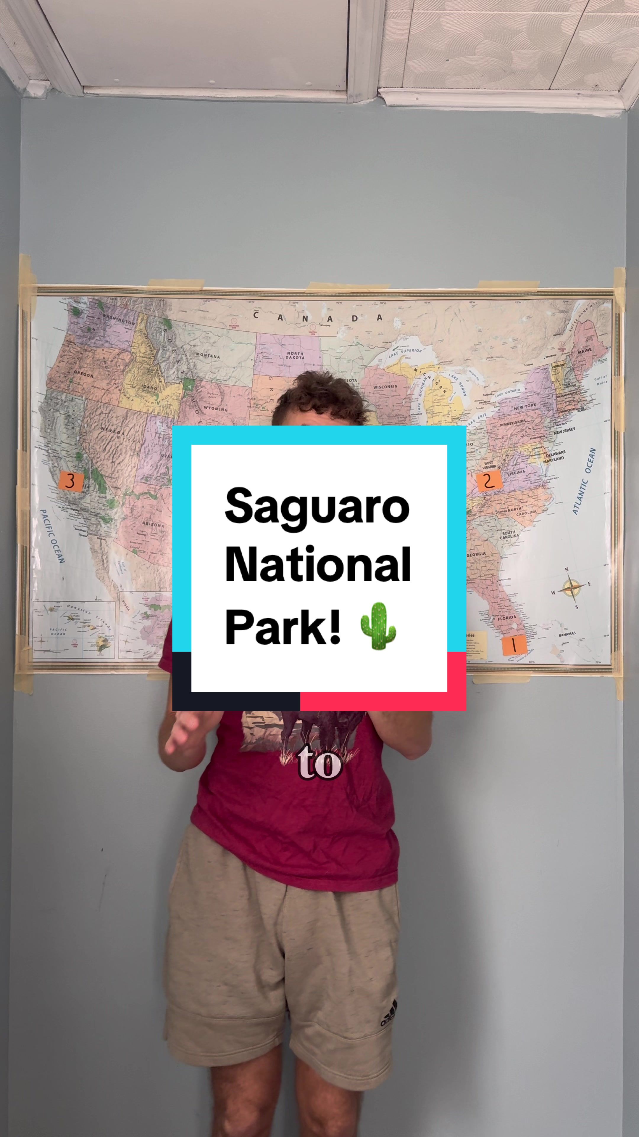Saguaro National Park