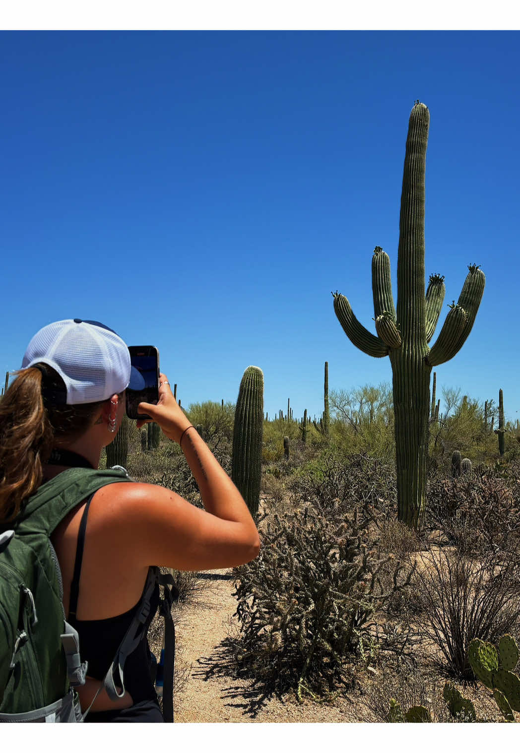 Saguaro National Park