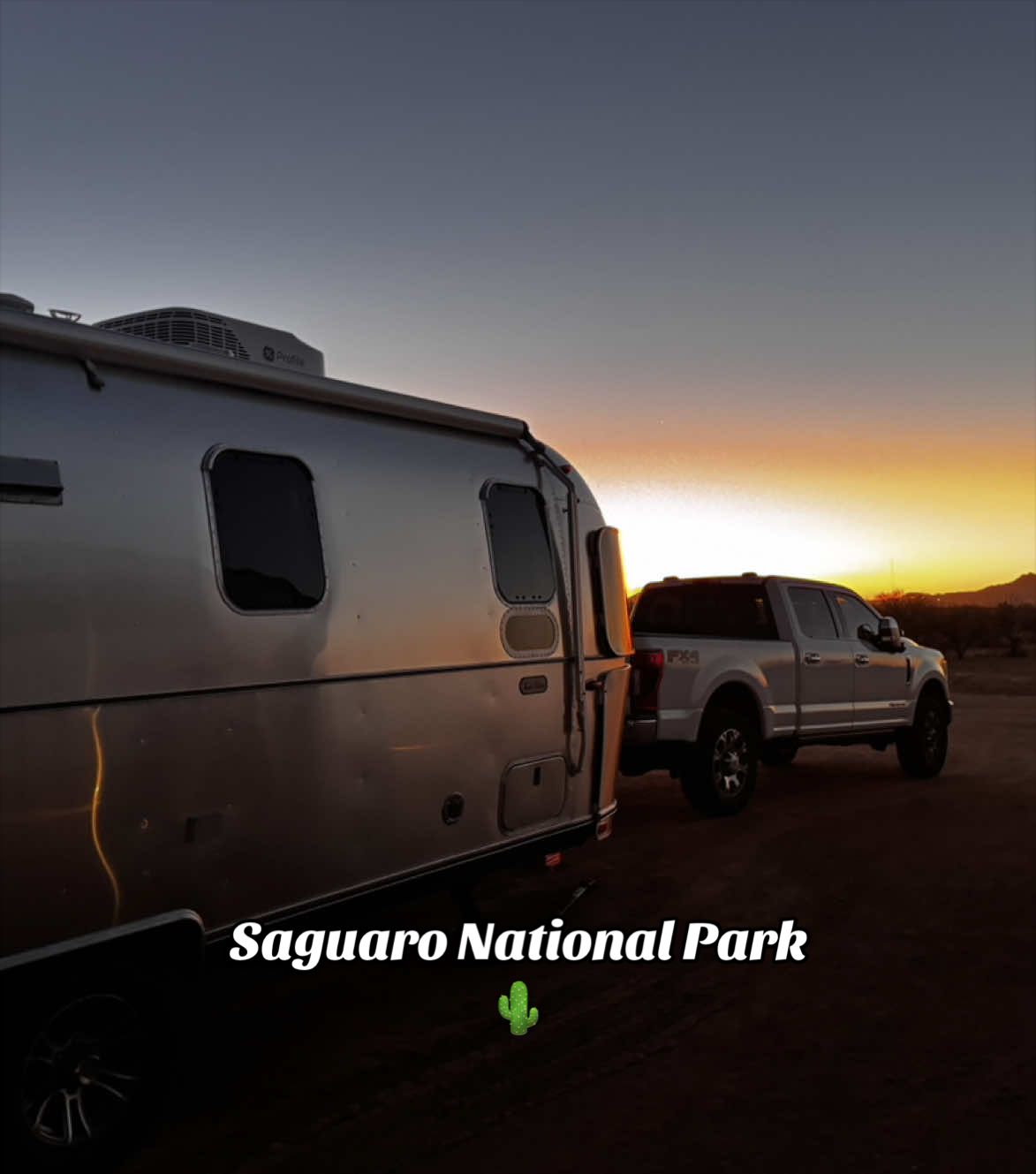 Saguaro National Park