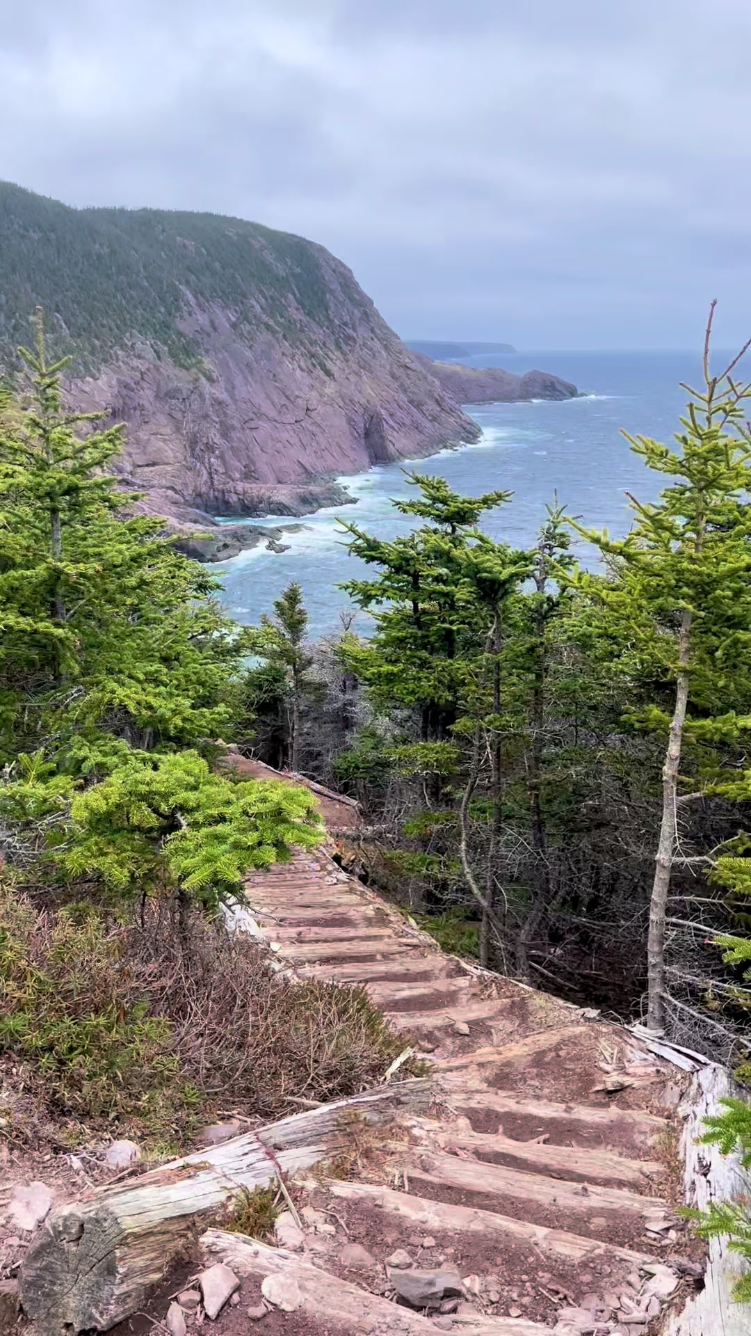 Saint John