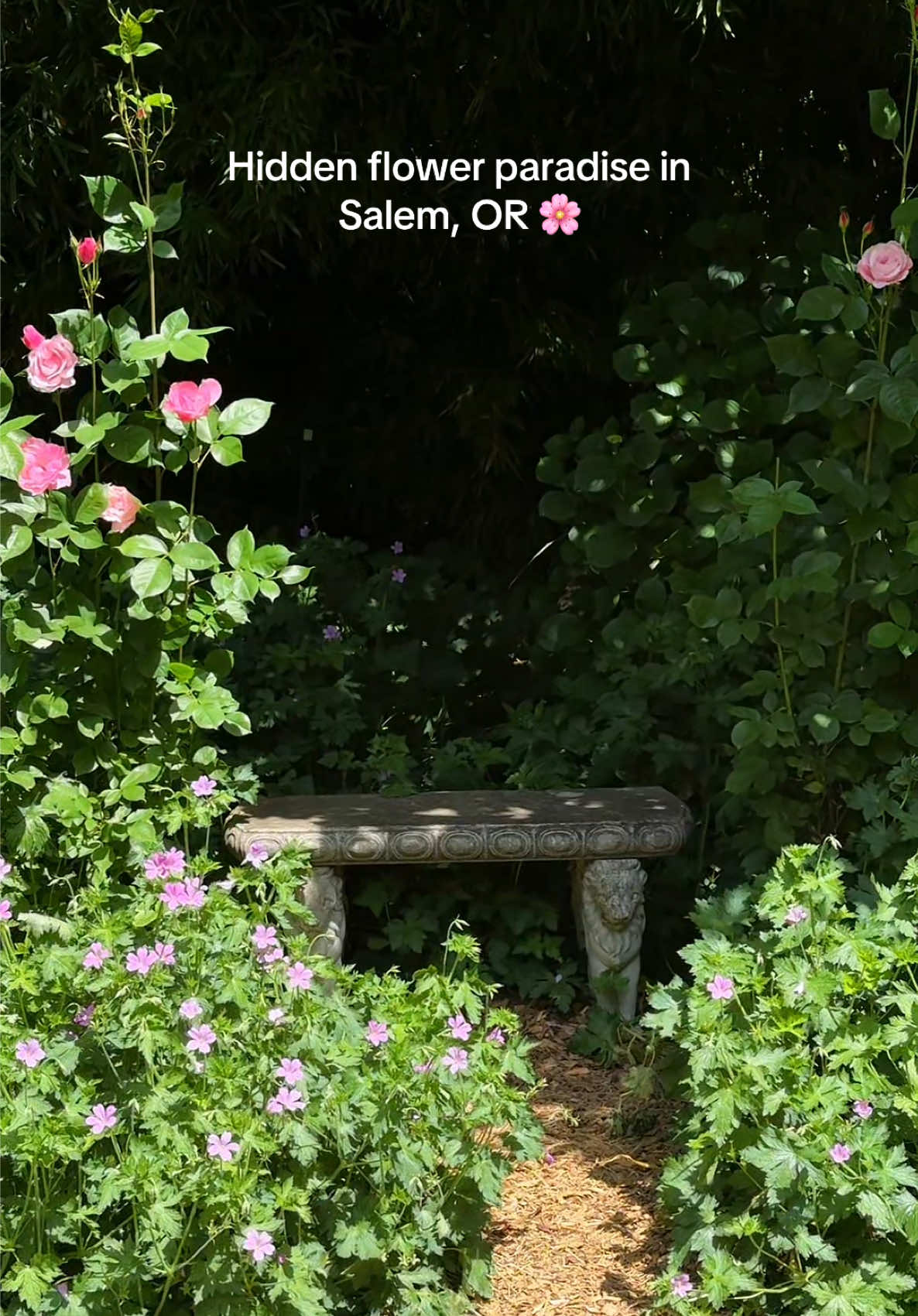Salem