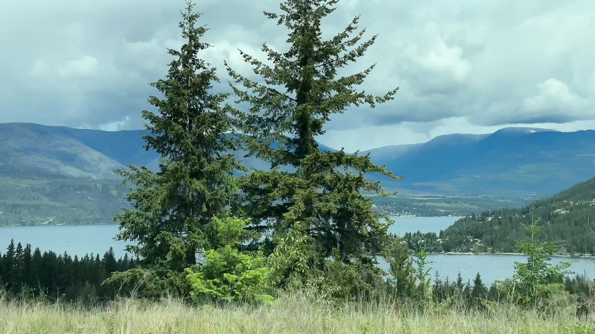 Salmon Arm