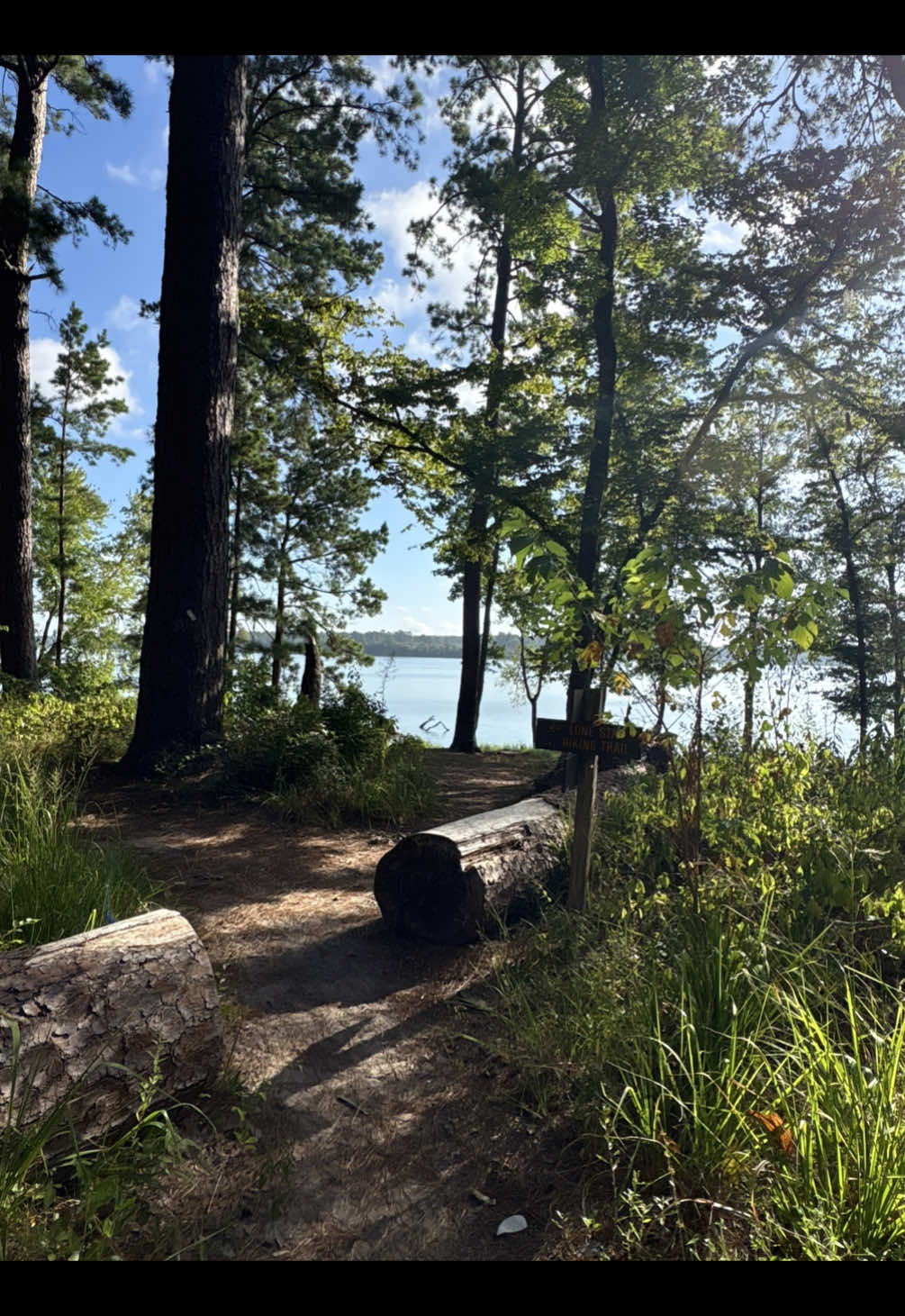 Sam Houston National Forest