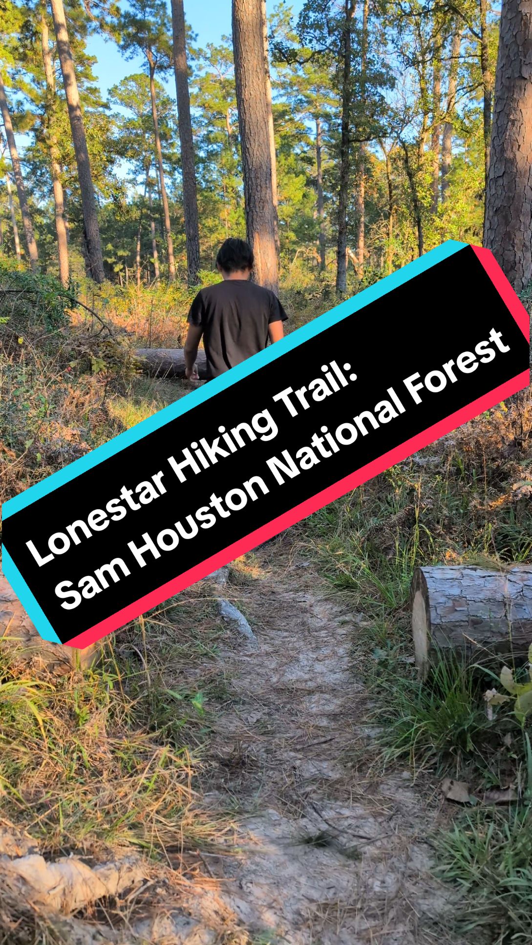 Sam Houston National Forest