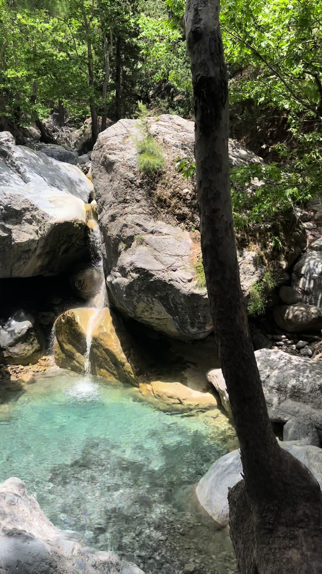 Samaria Gorge