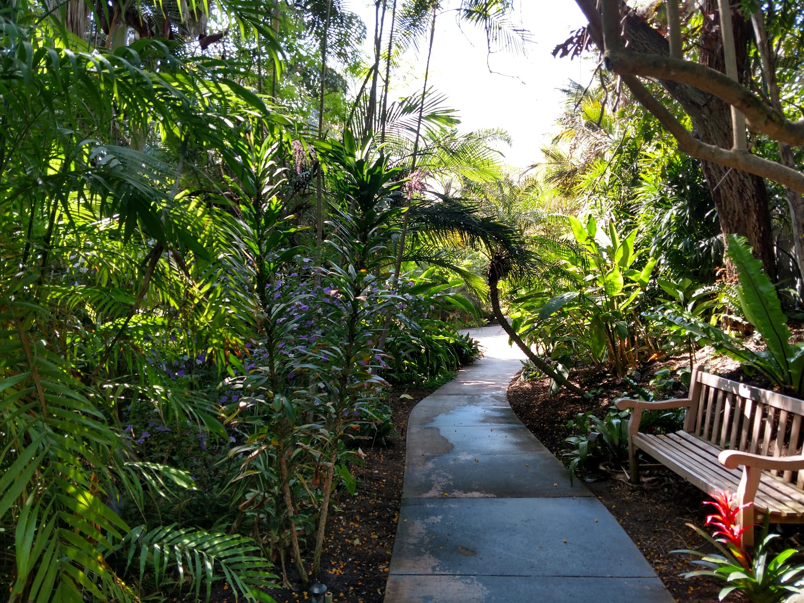 San Diego Botanic Garden (Encinitas)