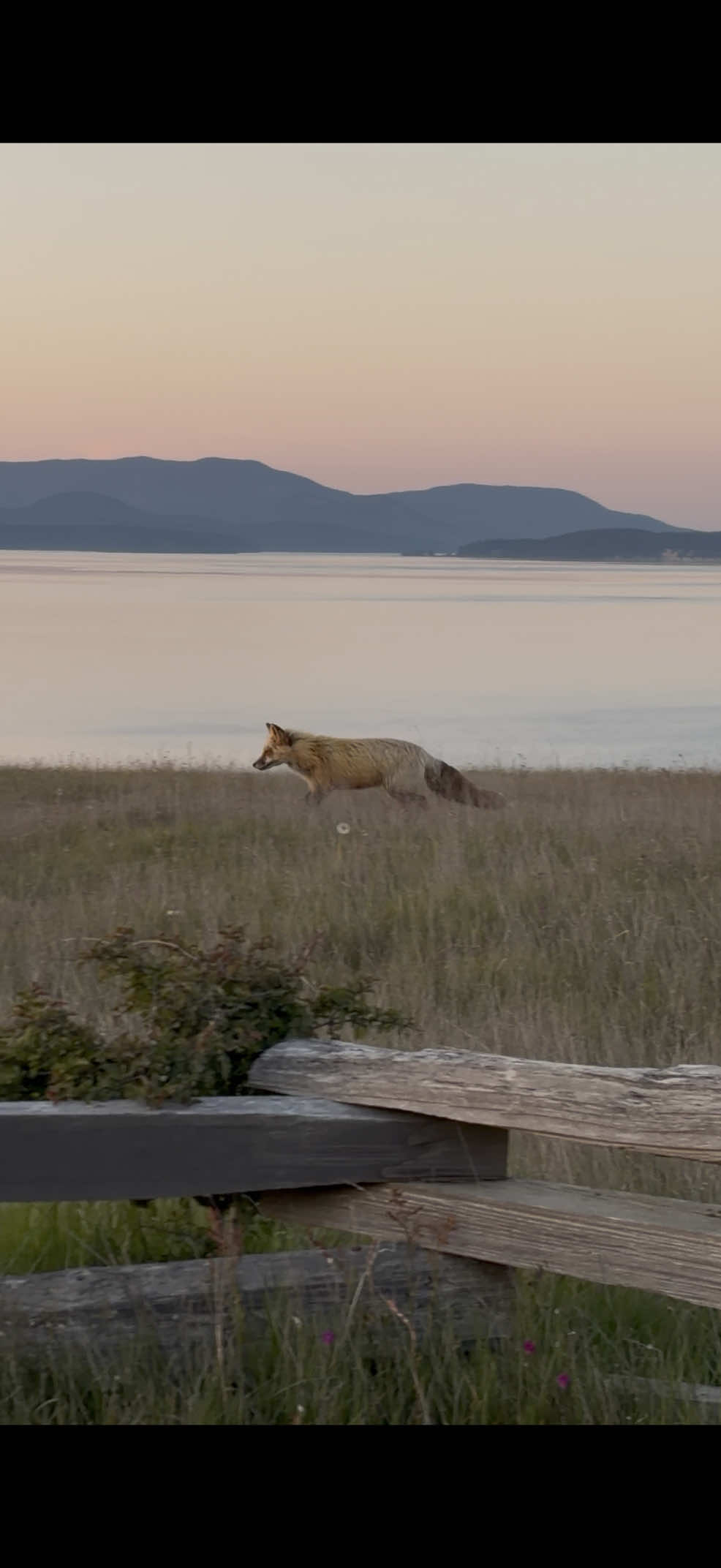 San Juan Islands