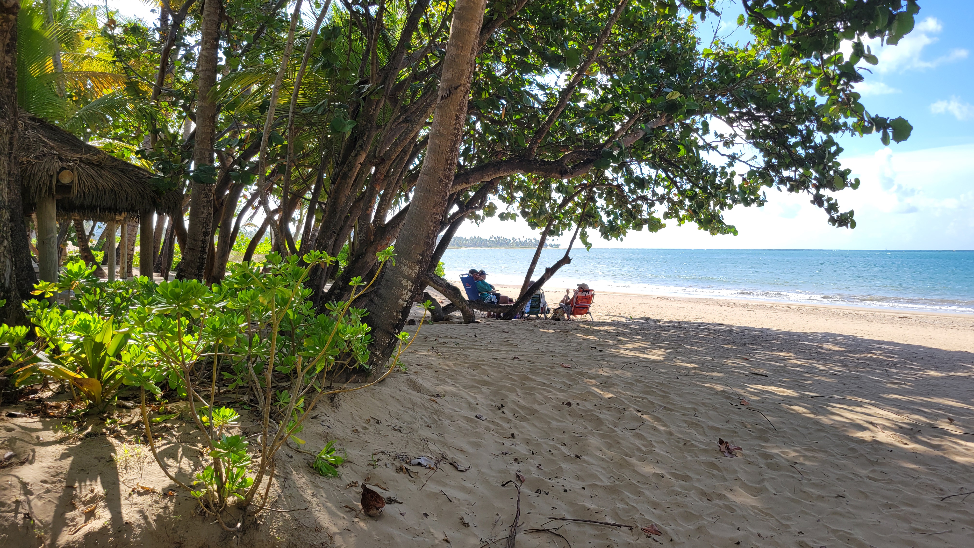 Picture for The St. Regis Bahia Beach Resort, Puerto Rico
