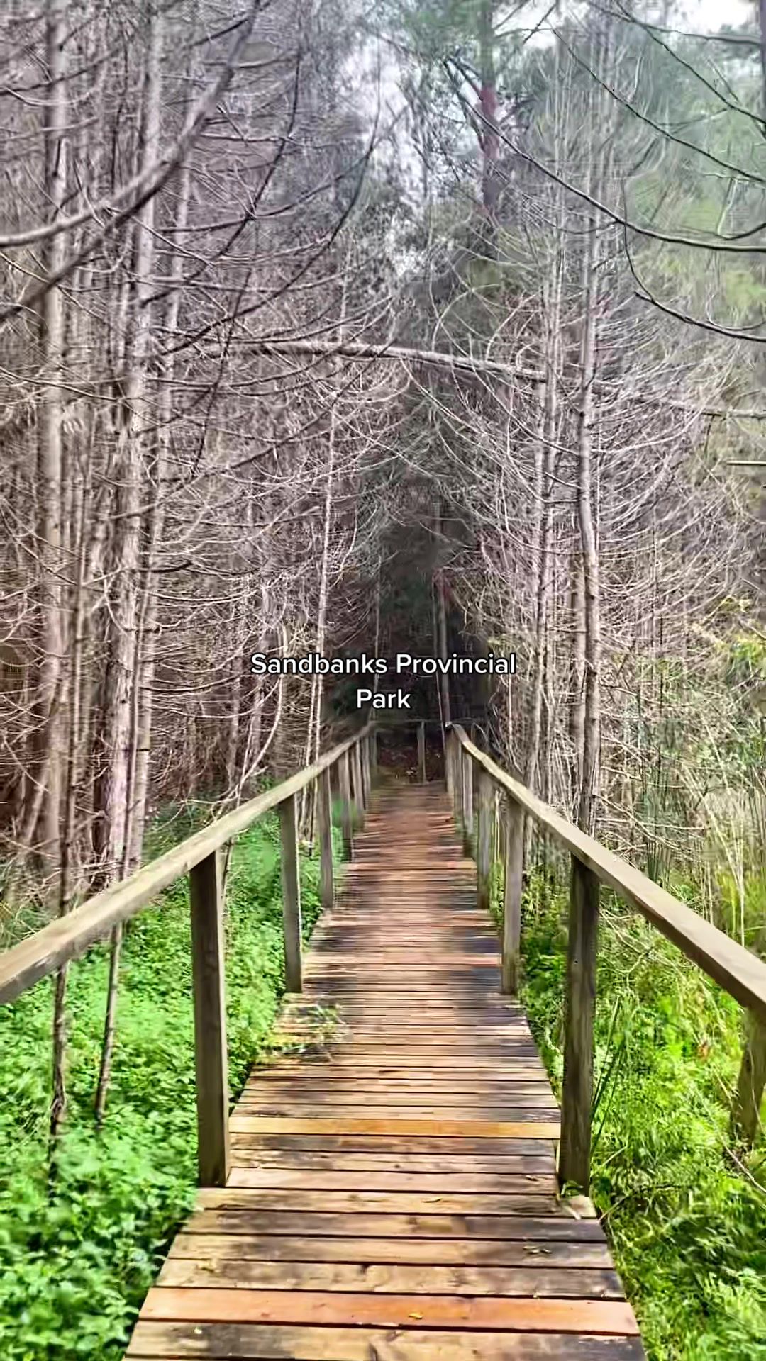 Sandbanks Provincial Park, ON