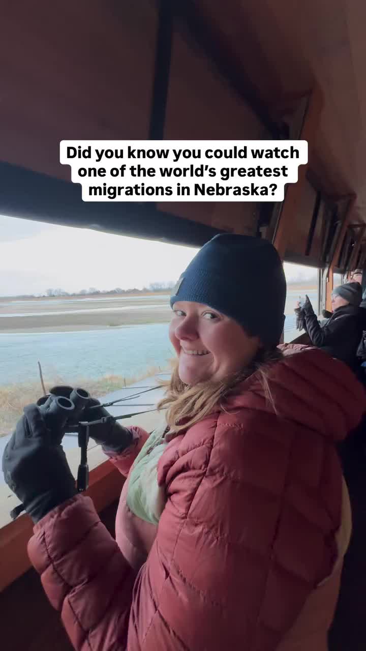 Sandhill Crane Migration in Kearney