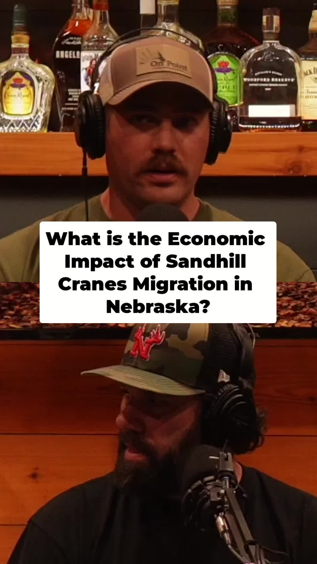 Sandhill Crane Migration in Kearney