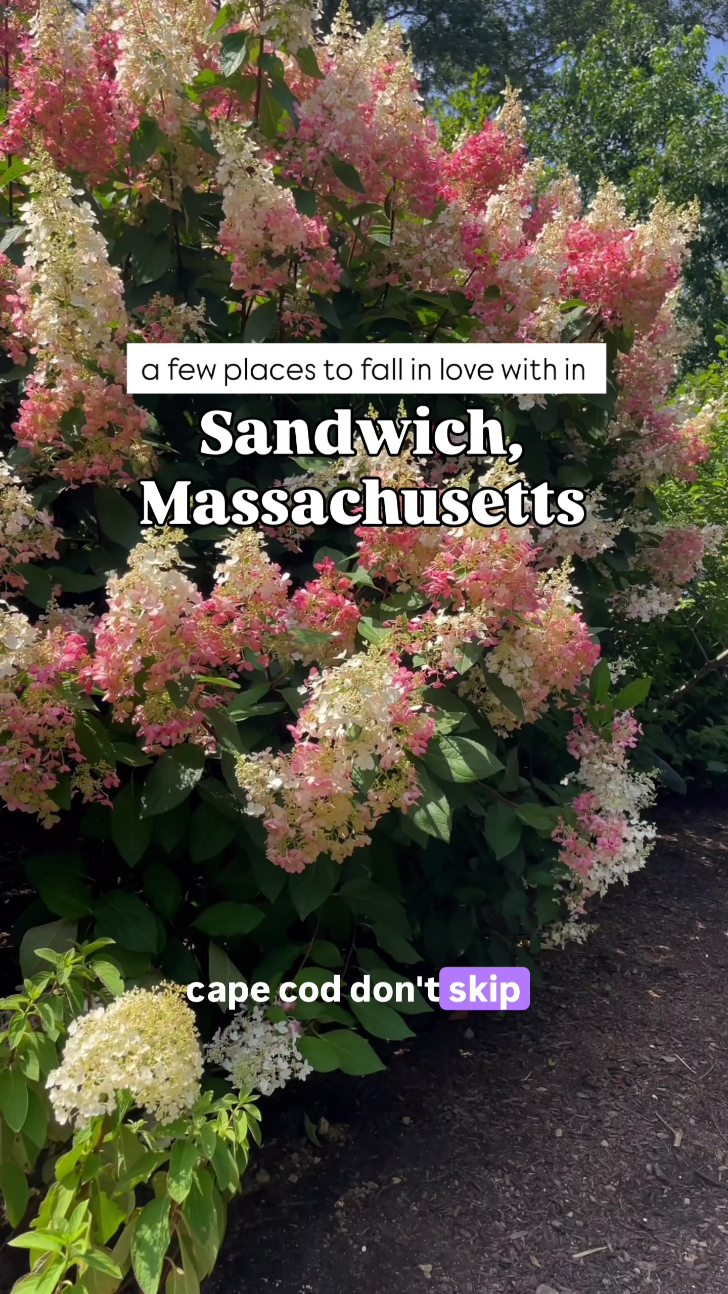 Sandwich