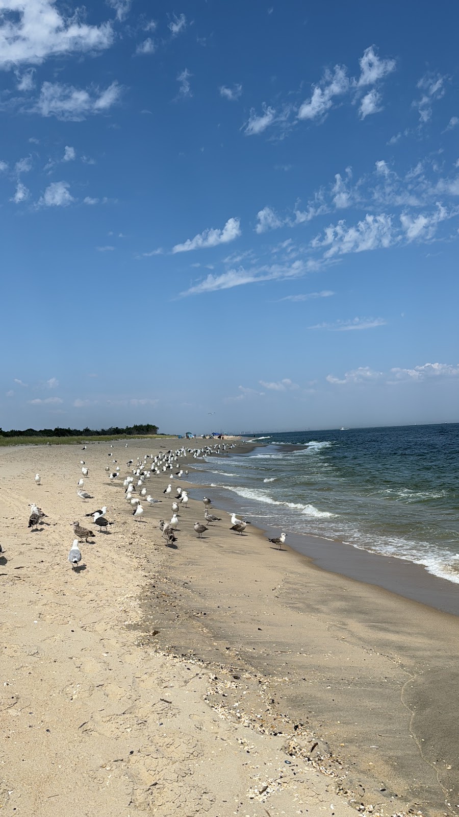 Sandy Hook National Seashore