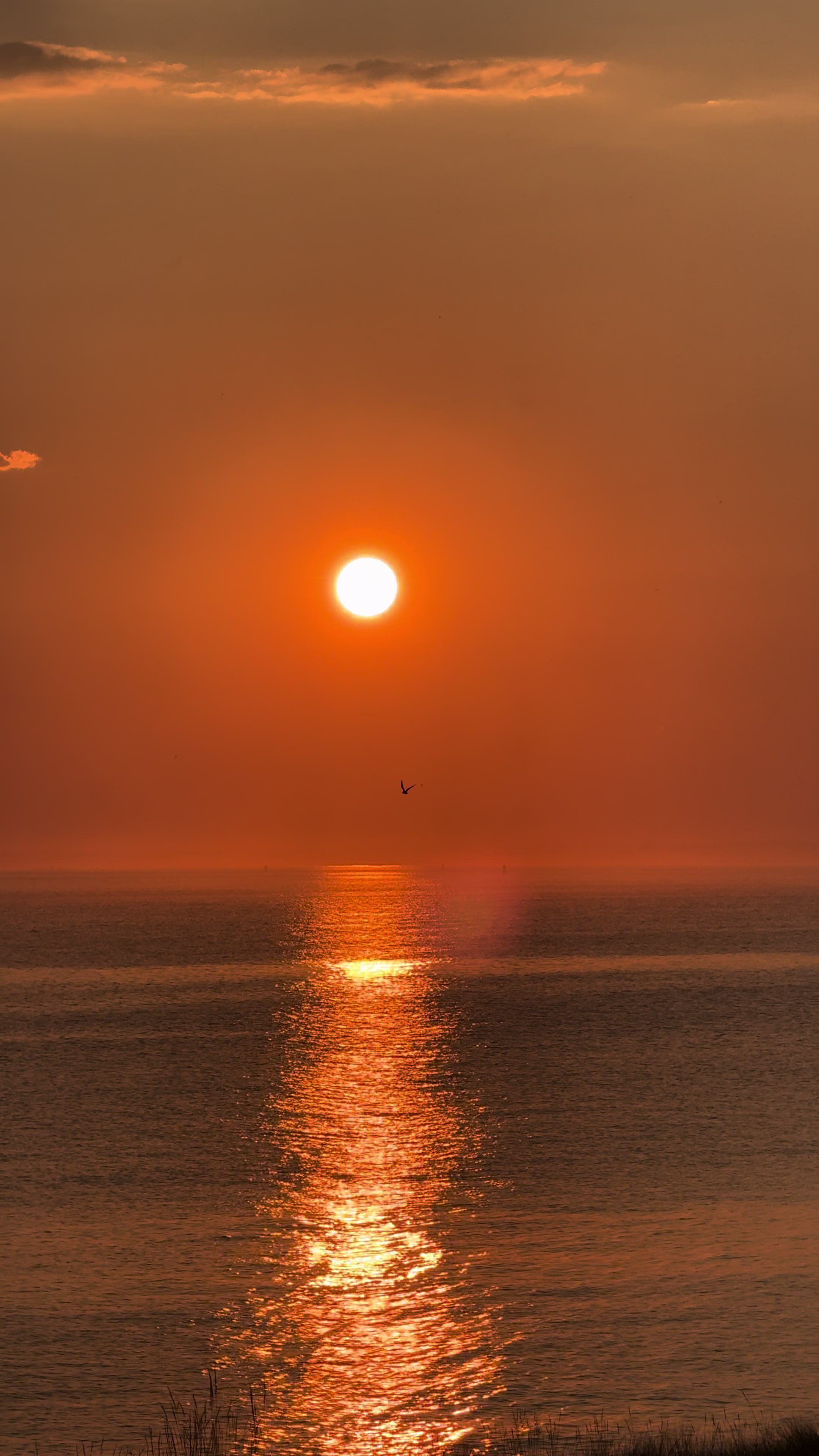 Sandy Hook National Seashore