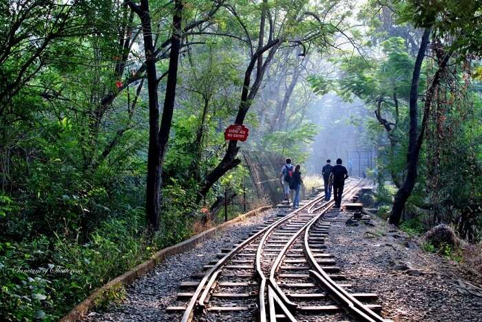 פארק לאומי סנג'יי גנדי (Sanjay Gandhi National Park)