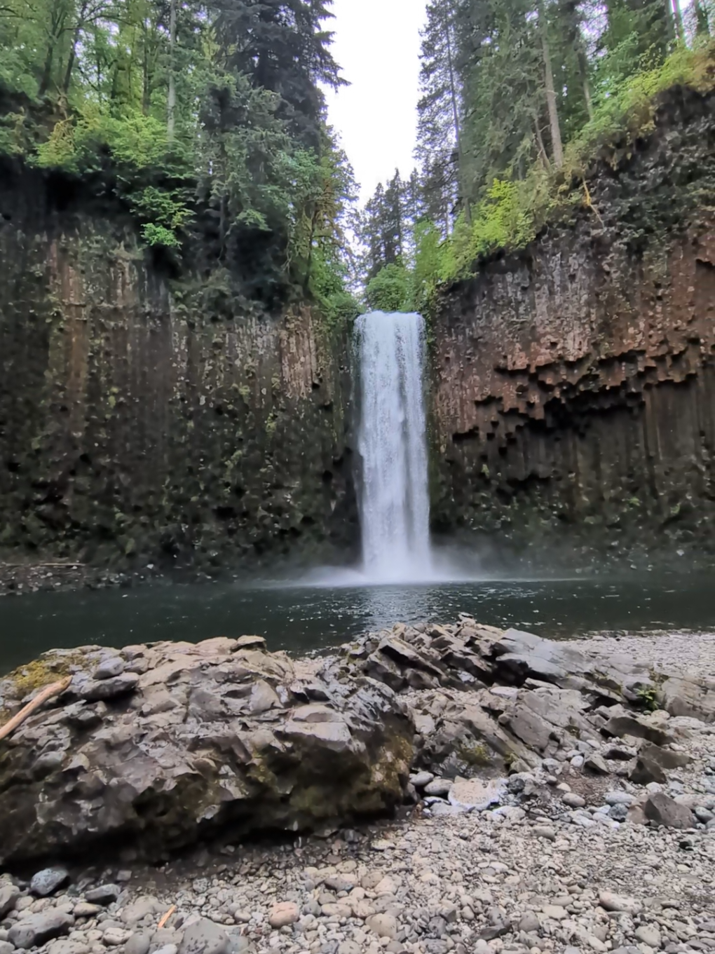 Santiam State Forest